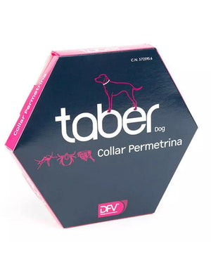 Product image for 21186