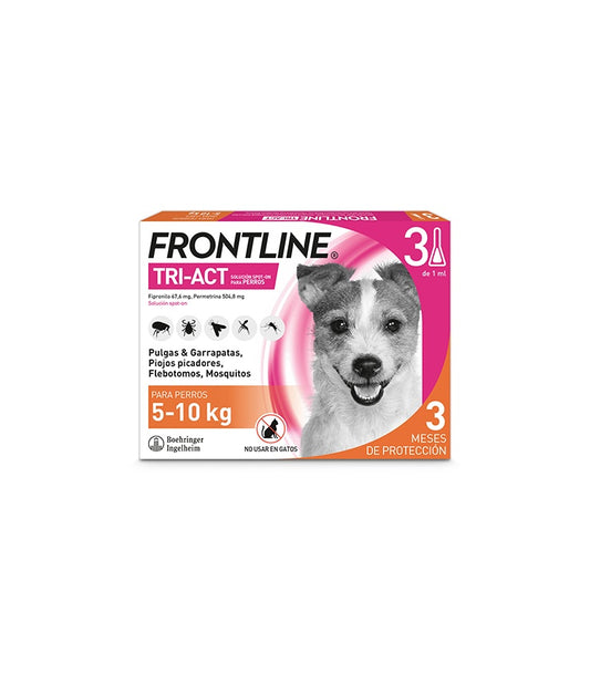 Product image for 21154