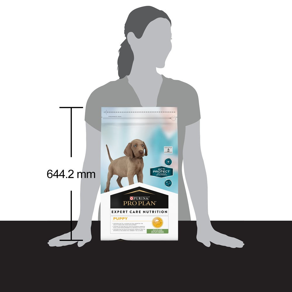 Product image for 21370