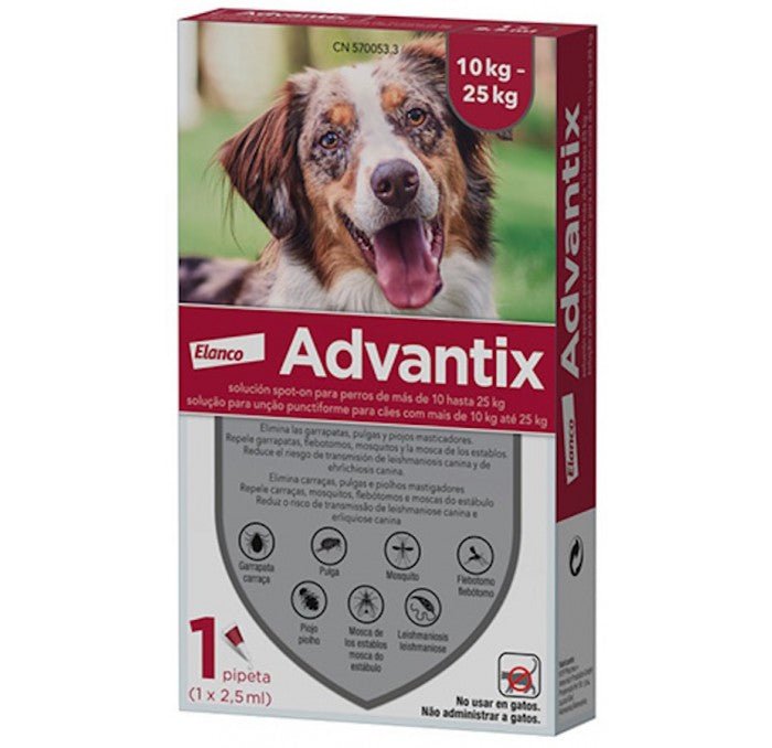 Product image for 21198