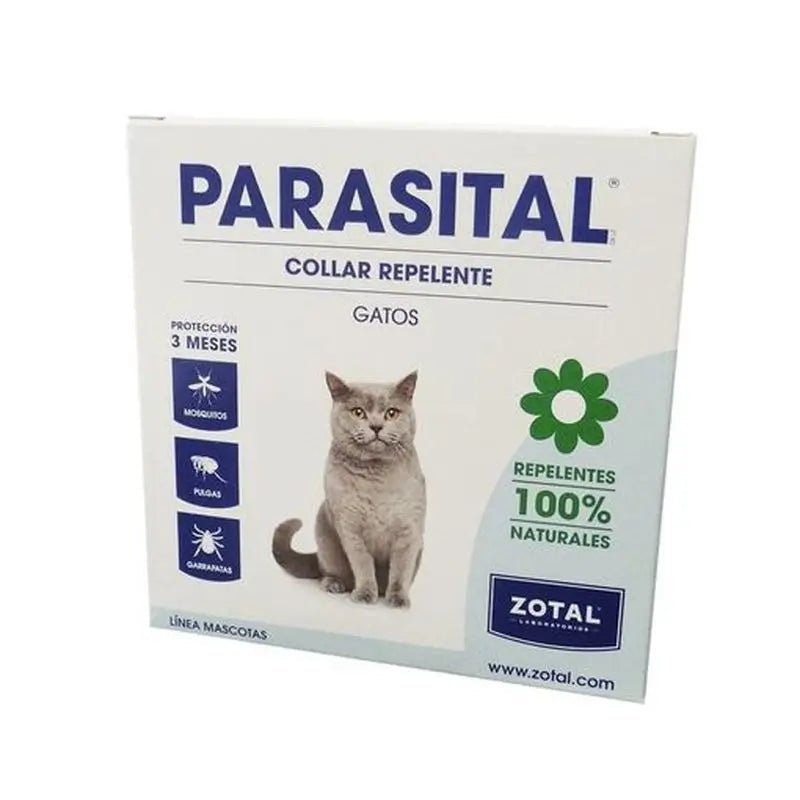 Product image for 21697
