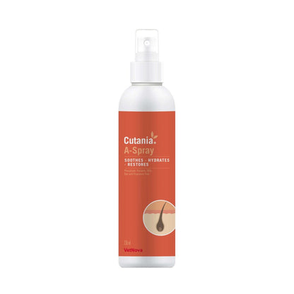 Product image for 21534