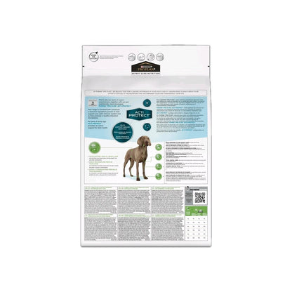 Product image for 21361