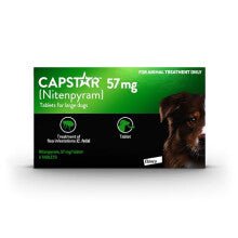 Product image for 21202