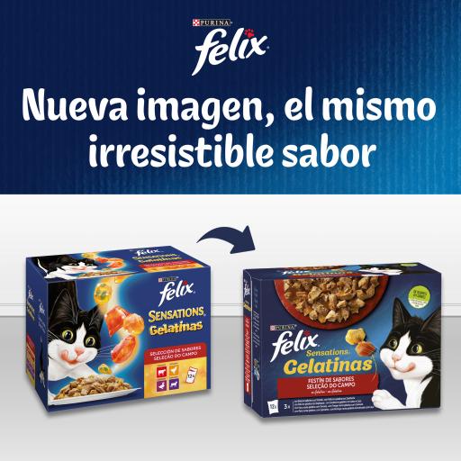 Product image for 21394