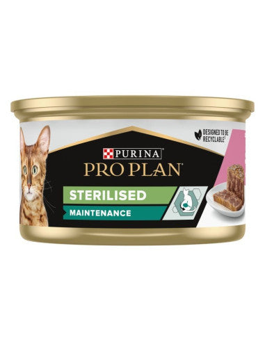 Product image for 21306