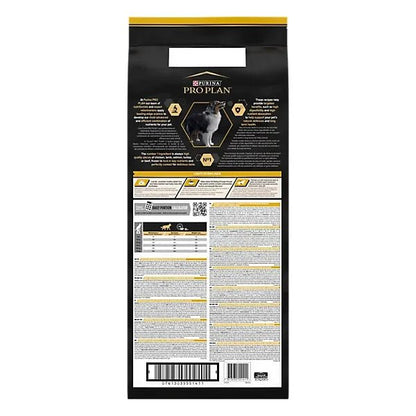 Product image for 21381
