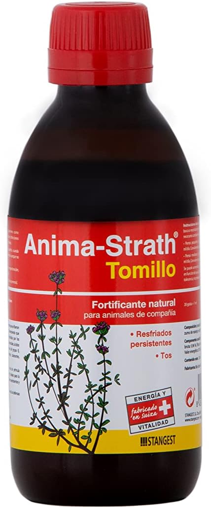 Product image for 21494