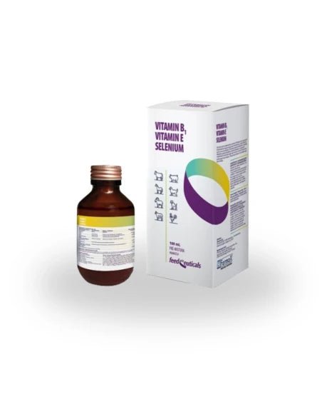Product image for 21219