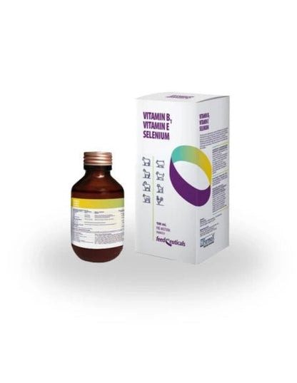 Product image for 21219