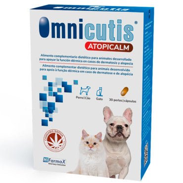 Product image for 21222