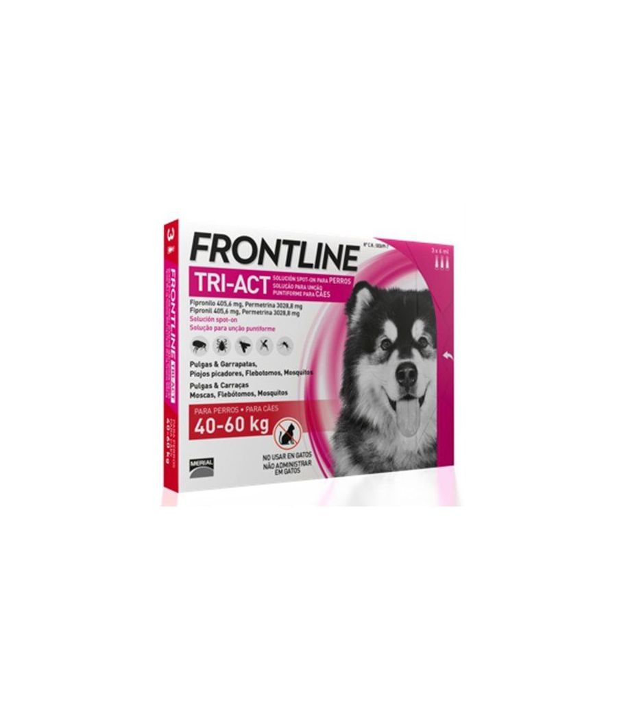 Product image for 21156