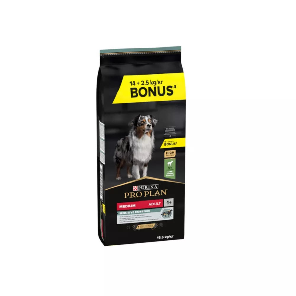 Product image for 21380