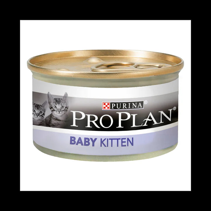 Product image for 21303