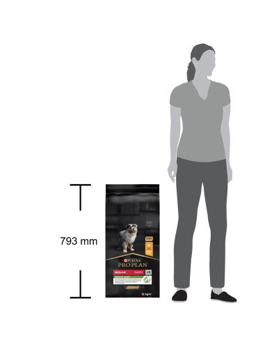 Product image for 21383