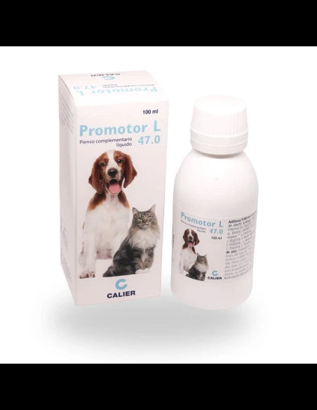 Product image for 21004