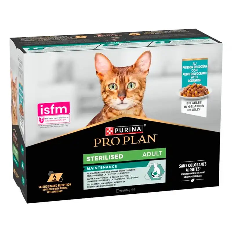 Product image for 21301