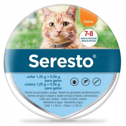 Product image for 21207