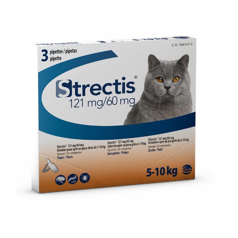Product image for 21172