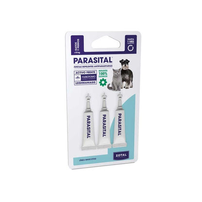 Product image for 21691