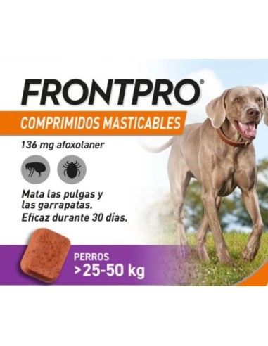 Product image for 21162