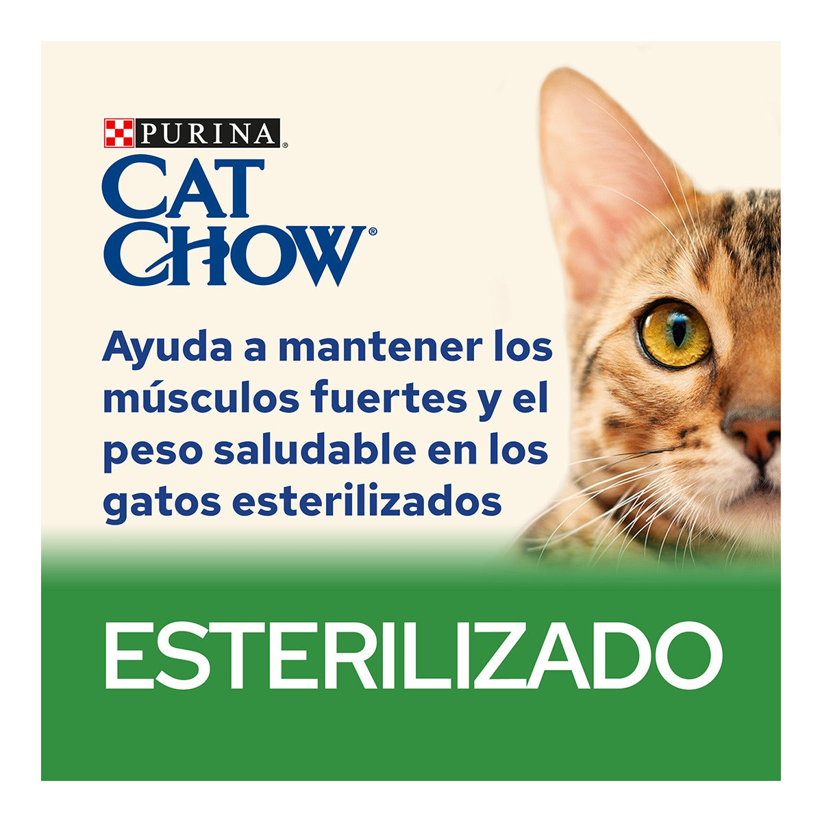 Product image for 21255