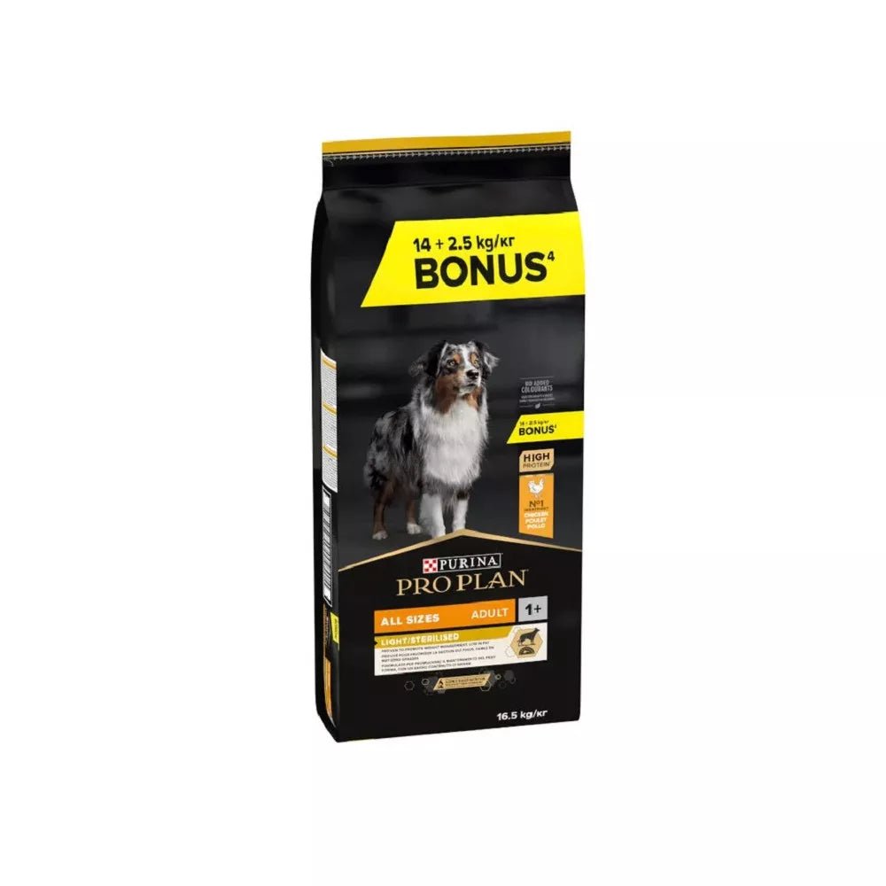 Product image for 21381