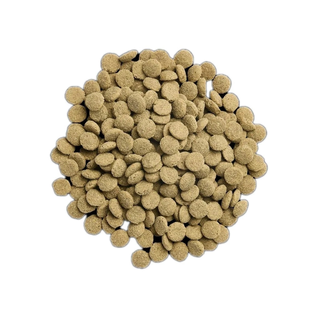 Product image for 21361