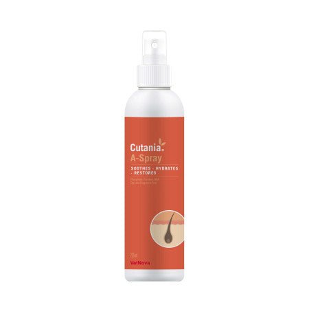 Product image for 21534