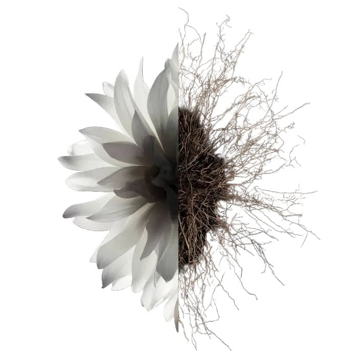 Product image for 29886