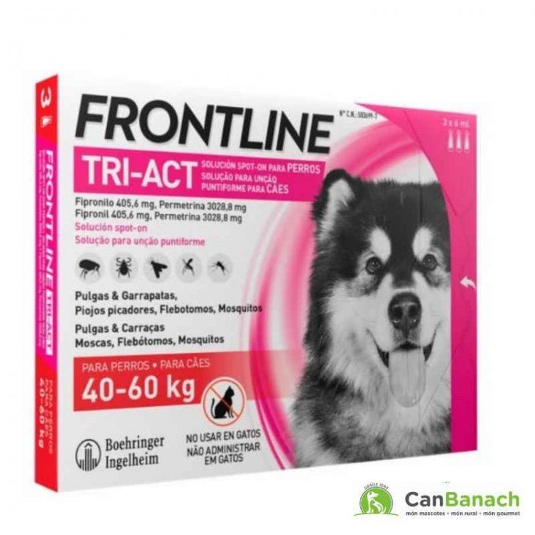 Product image for 21156