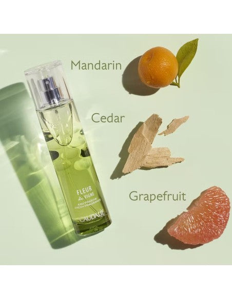 Product image for 24284