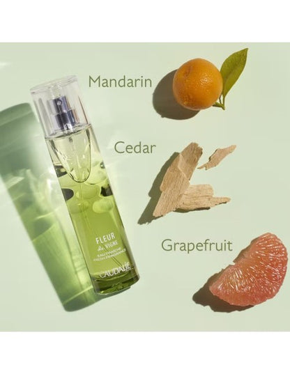 Product image for 24284