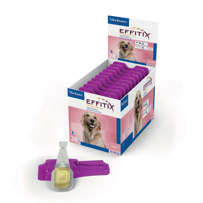 Product image for 21681