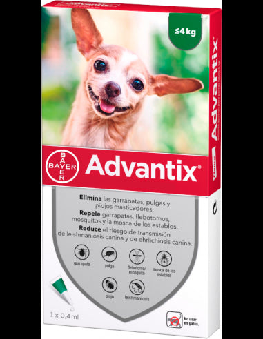 Product image for 21203