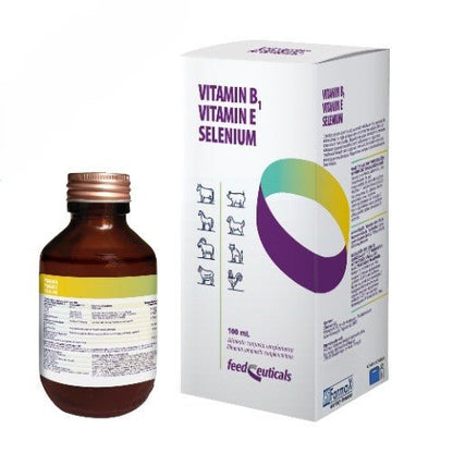 Product image for 21219