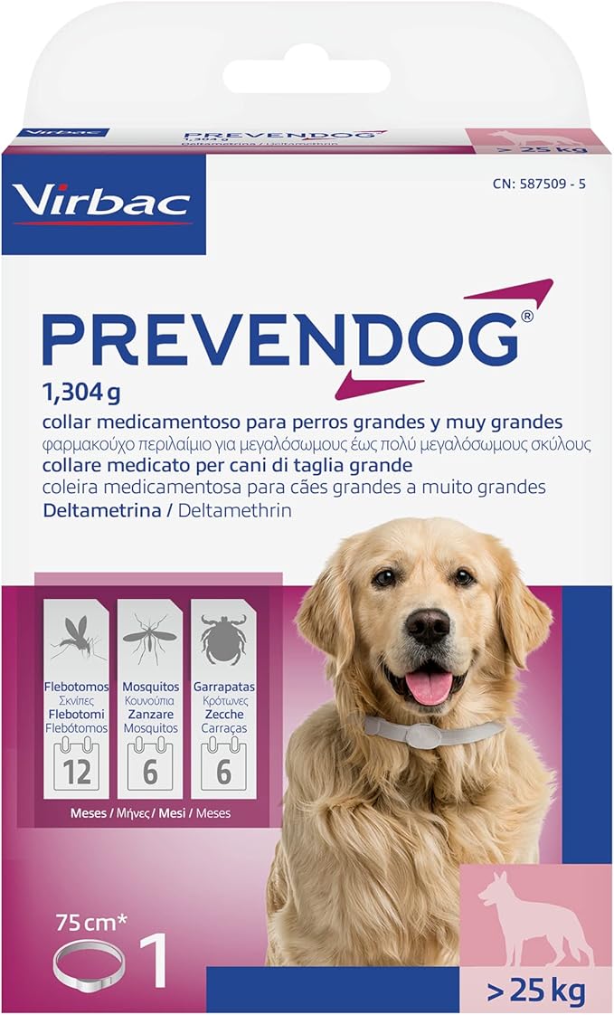 Product image for 21684