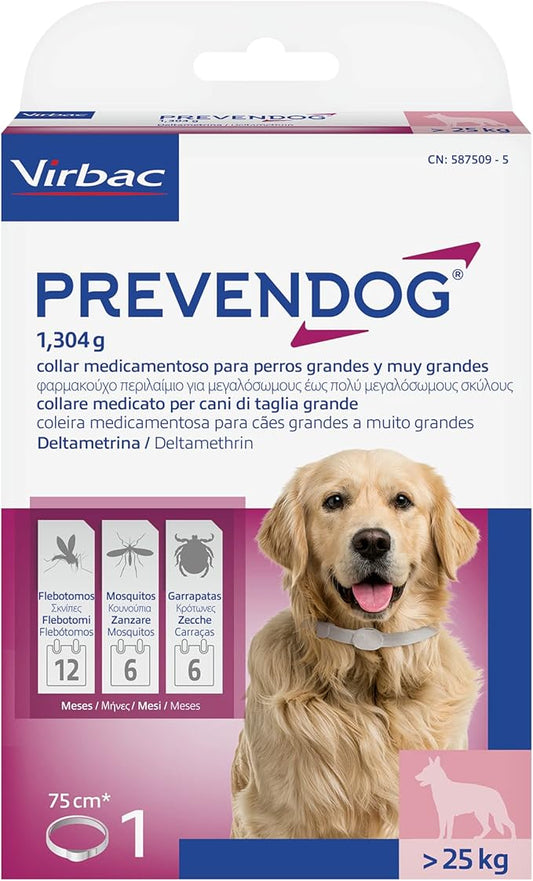 Product image for 21684