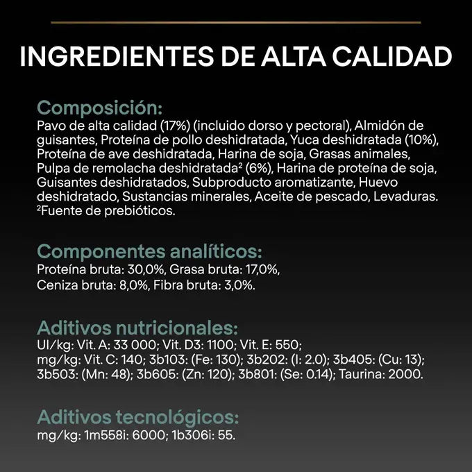 Product image for 21329