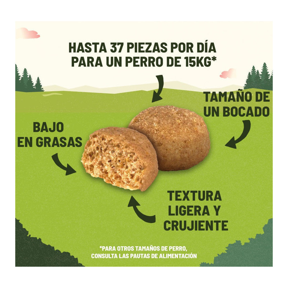 Product image for 21454