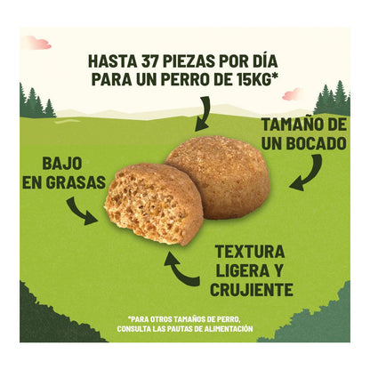 Product image for 21454