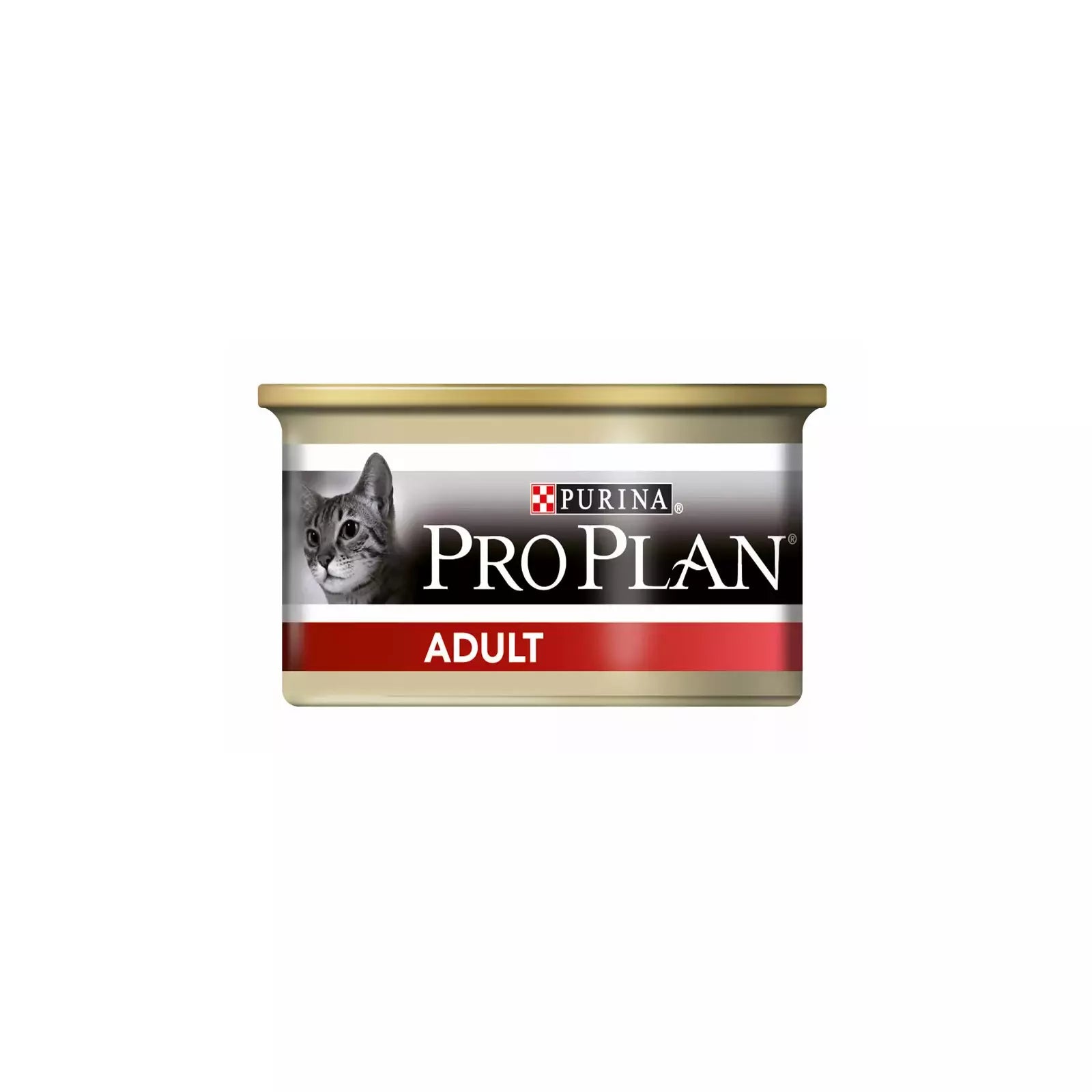 Product image for 21305