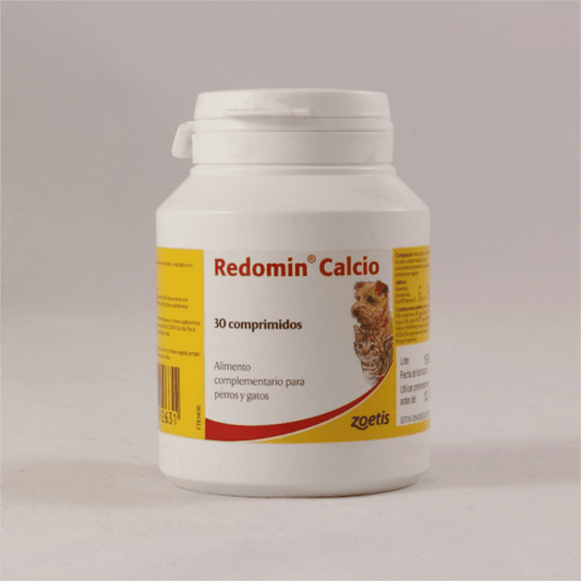 Product image for 21686