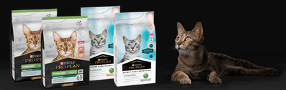 Product image for 21374