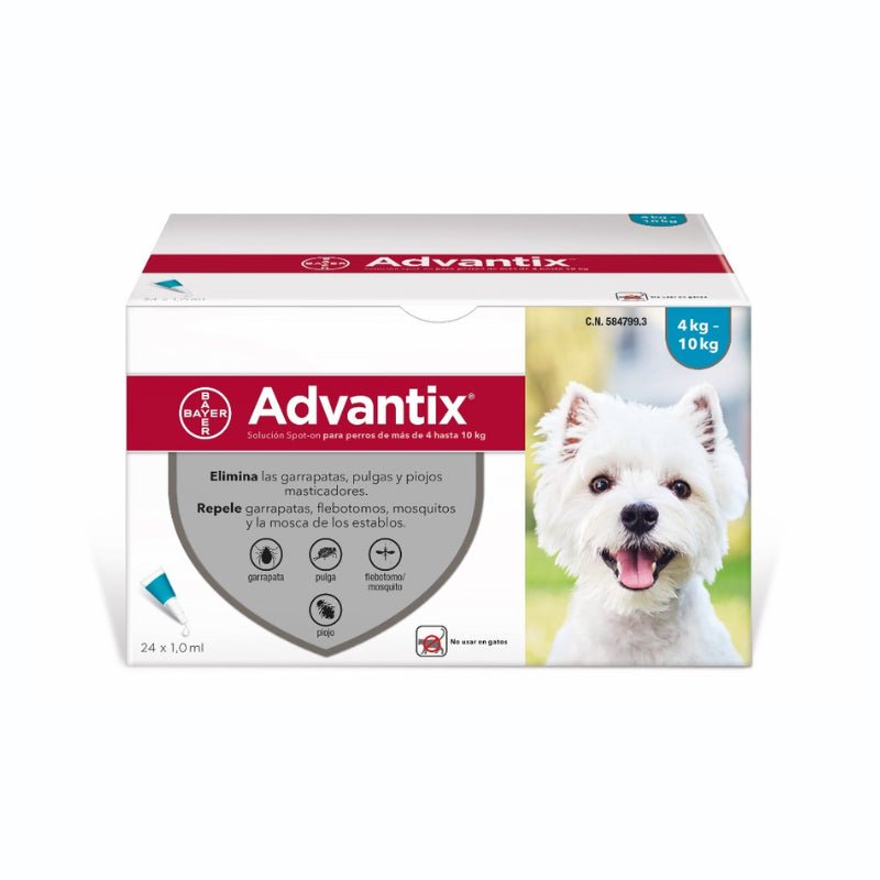 Product image for 21204