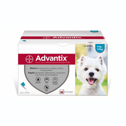 Product image for 21204