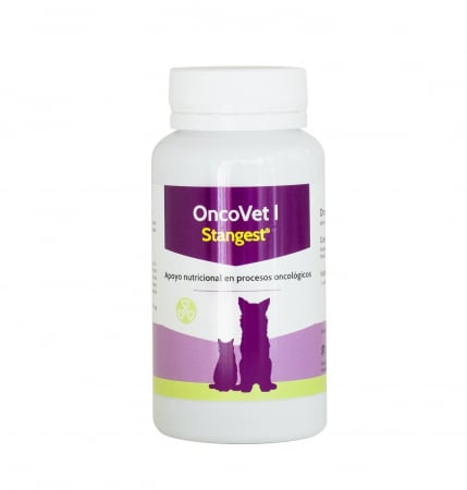 Product image for 21484