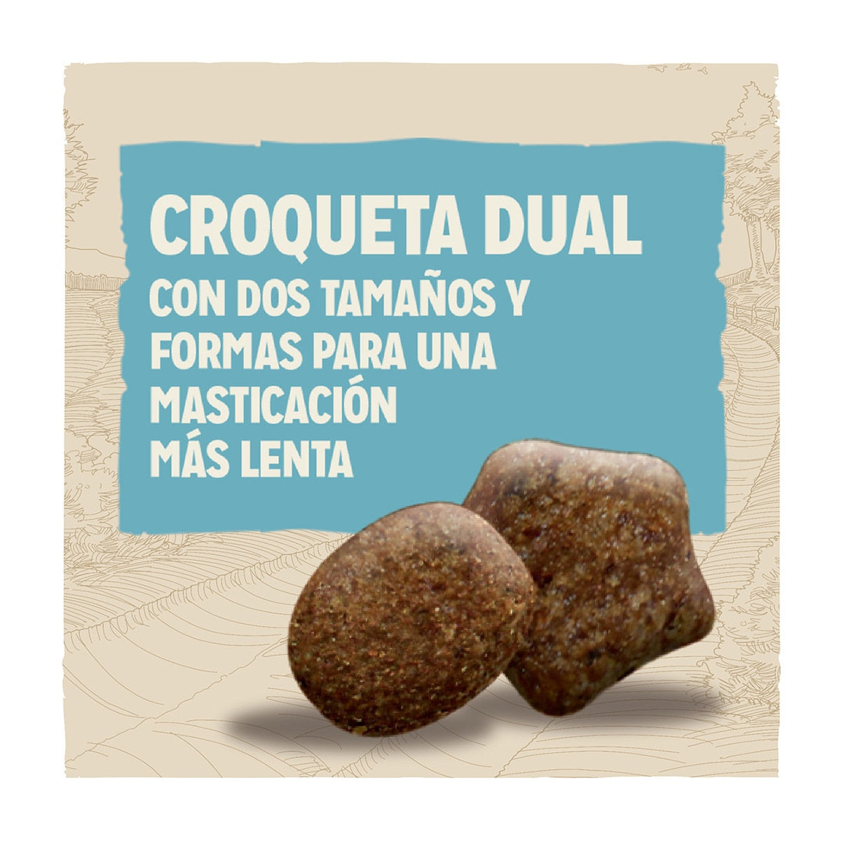 Product image for 21278