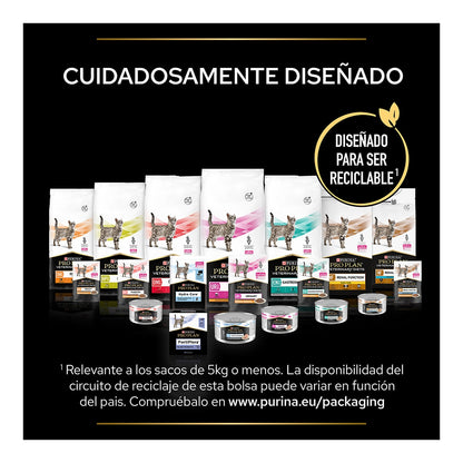 Product image for 21354