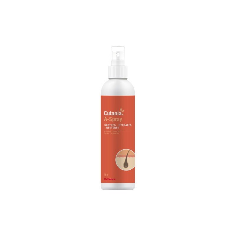 Product image for 21534